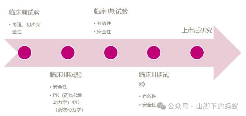 山脚下的蚂蚁：统计分析流程