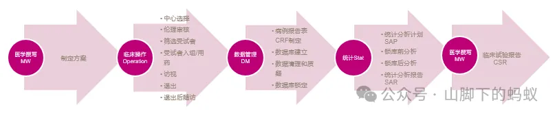 山脚下的蚂蚁：统计分析流程