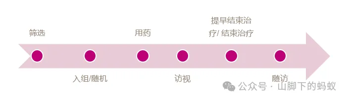 山脚下的蚂蚁：统计分析流程