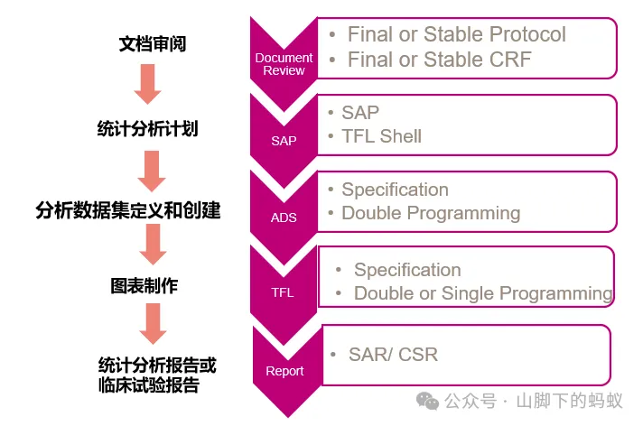 山脚下的蚂蚁：统计分析流程