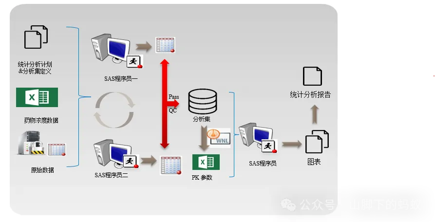 山脚下的蚂蚁：统计分析流程
